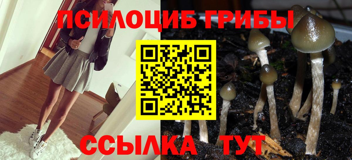 Псилоцибиновые грибы прущие грибы  Вход с VPN  Среднеуральск 